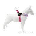 Caramella rosa-gusta rosa-filo regolabile cani imbracatura per cani